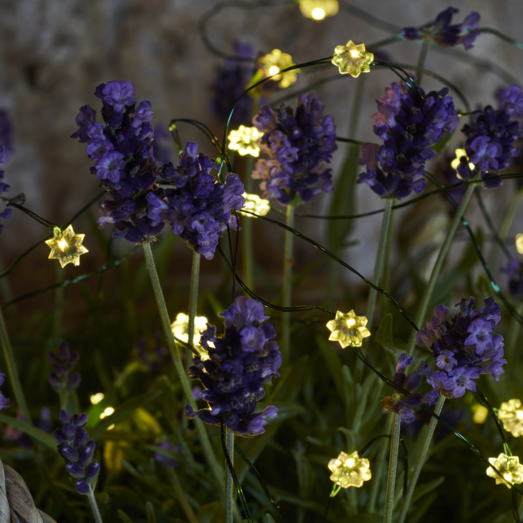 Sirius Silke lyskæde m/blomster 40 LED indendørs/udendørs 3,9 m