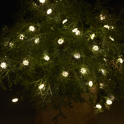Sirius Silke lyskæde m/blomster 40 LED indendørs/udendørs 3,9 m