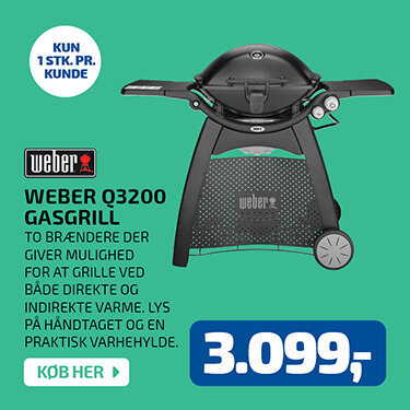 Weber Q3200 Gasgrill