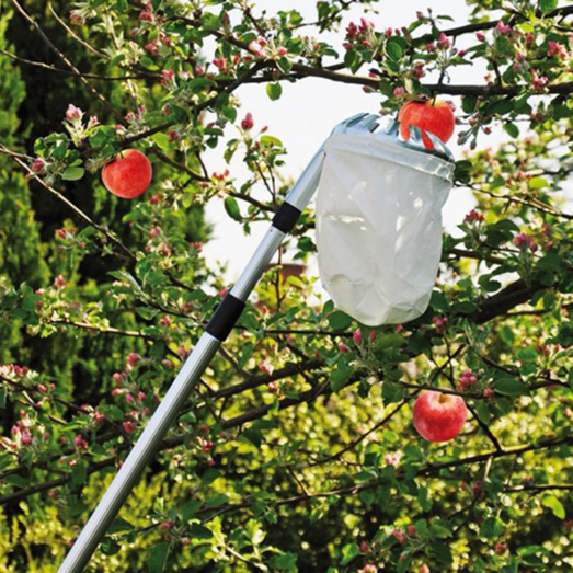 Grouw frugtplukker med teleskopskaft 149-260 cm.