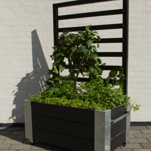 Plus Cubic Blomsterkasse Med Espalier Og Hjul 87x50 Cm Sort