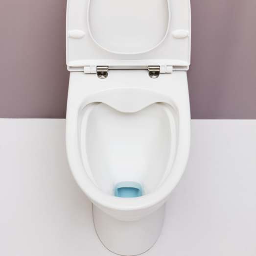 Laufen Pro-N toilet m/skjult S-lås hvid 