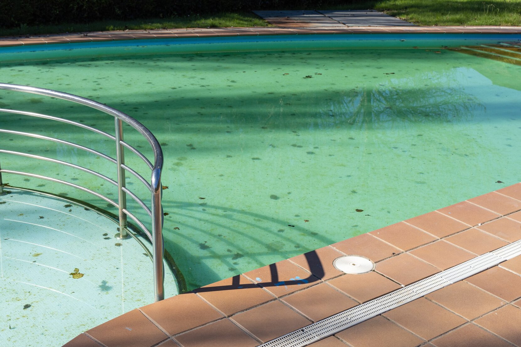 Spectacle offentliggøre vedtage 5 trin til at fjerne alger i din pool