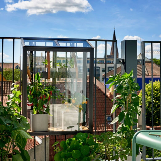 Juliana Urban Balcony mini drivhus sort med hærdet glas