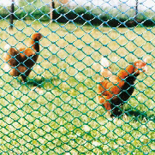 Expo-Net kyllingenet 10 m grøn