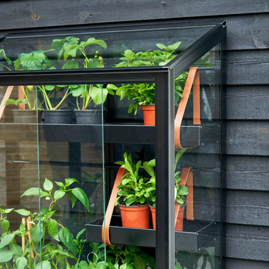 Juliana Urban City Greenhouse vægdrivhus sort med hærdet glas 0,32 m²
