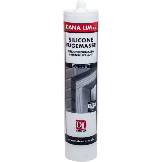 Dana budget silicone 576, 300 ml transparent