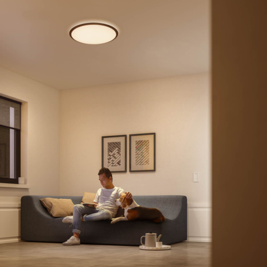 Philips Cavanal LED plafond hvid