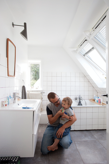 velux tagvindue