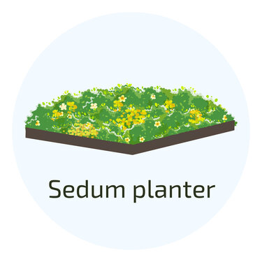 biobaserede byggematerialer sedum