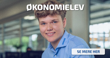 Økonomielev