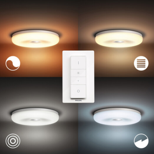 Philips Hue Struana loftslampe til badeværelse LED