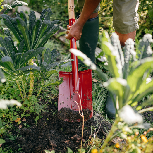 Fiskars spade med afrundet blad