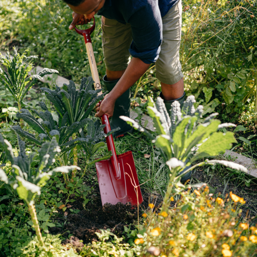 Fiskars spade med afrundet blad