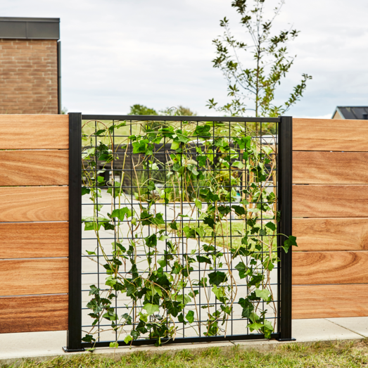 Elmholm espalier løst modul 125 cm