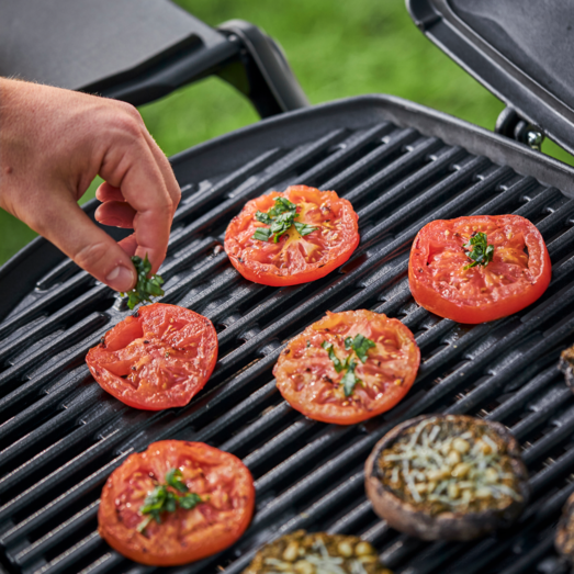 Weber Q3200 gasgrill