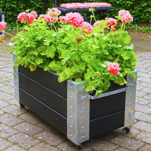 Plus Cubic blomsterkasse med hjul 87x50 cm sort