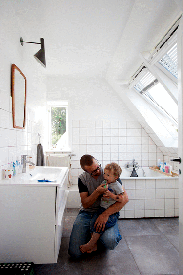 velux tagvindue