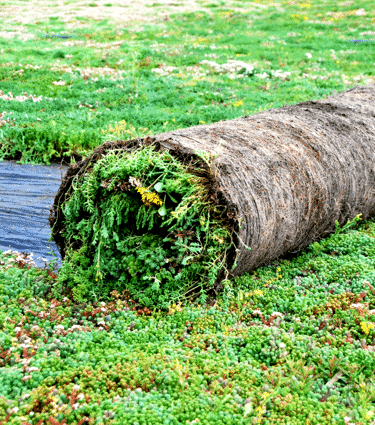 Hyggeligt træhus